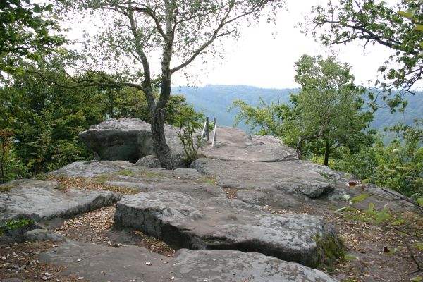 Drachenfels